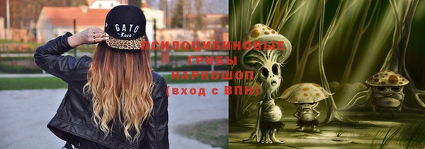 стаф Новокубанск