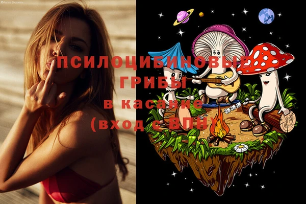 стаф Новокубанск
