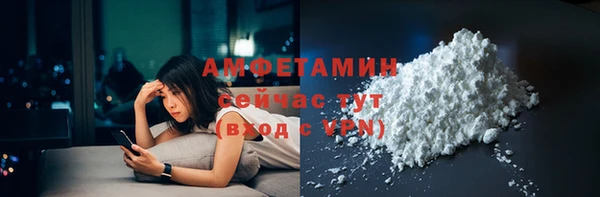 стаф Новокубанск