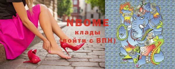 стаф Новокубанск
