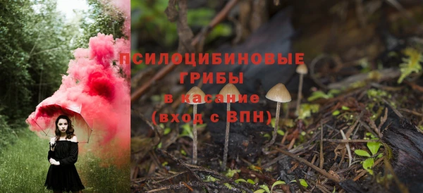стаф Новокубанск