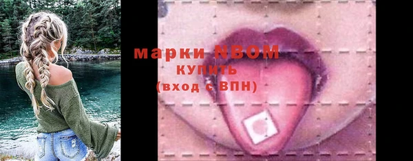 стаф Новокубанск