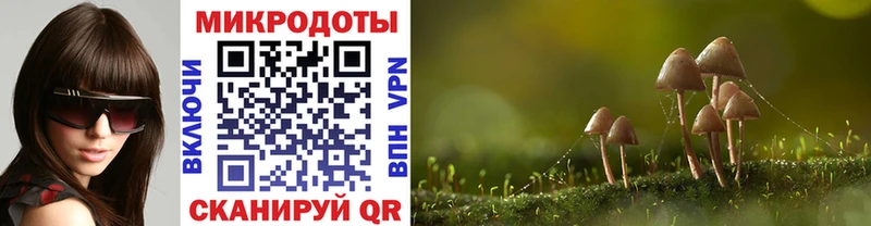 Псилоцибиновые грибы ЛСД  Тырныауз 